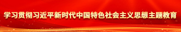 捅b视频学习贯彻习近平新时代中国特色社会主义思想主题教育