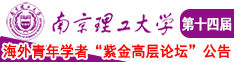 操逼女孩网站视频南京理工大学第十四届海外青年学者紫金论坛诚邀海内外英才！